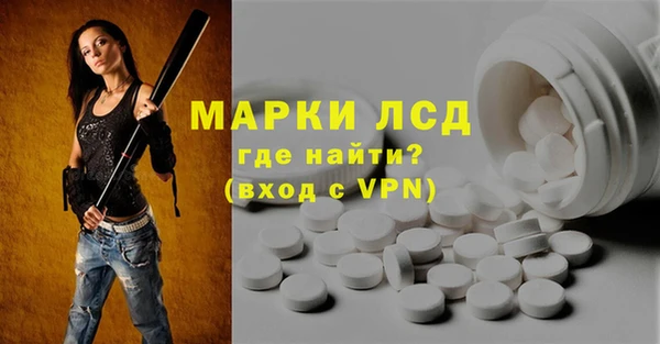 твердый Гусев