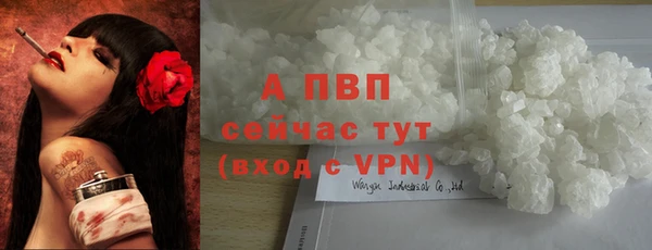 Альфа ПВП Баксан
