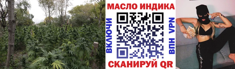 МЕГА ONION Семёнов ТГК концентрат