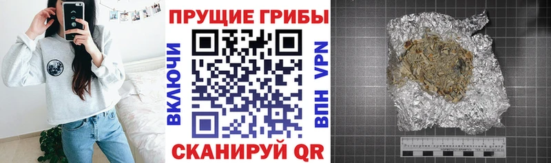 Псилоцибиновые грибы GOLDEN TEACHER Семёнов