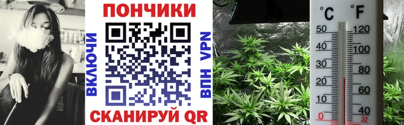 Бошки Шишки SATIVA & INDICA  что такое наркотик  Семёнов 